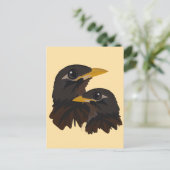 Carte Postale Oiseaux de Mina (Debout devant)