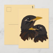 Carte Postale Oiseaux de Mina (Devant / Derrière)