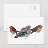 Carte Postale Oiseaux de plumes 2011 (Devant / Derrière)