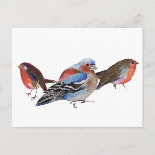 Carte Postale Oiseaux de plumes 2011 (Devant)