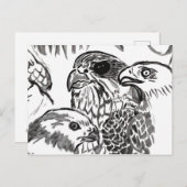 Carte Postale Oiseaux de Prey (Devant / Derrière)