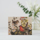 Carte Postale Oiseaux de printemps Robin Oiseaux rouges (Debout devant)