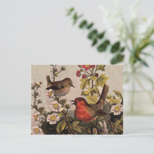 Carte Postale Oiseaux de printemps Robin Oiseaux rouges (Debout devant)