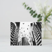 Carte Postale oiseaux de ville (Debout devant)