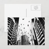 Carte Postale oiseaux de ville (Devant / Derrière)