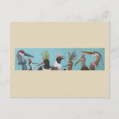 Carte postale Oiseaux d'eau (Devant)