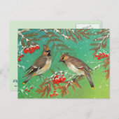 Carte Postale Oiseaux d'hiver (Devant / Derrière)
