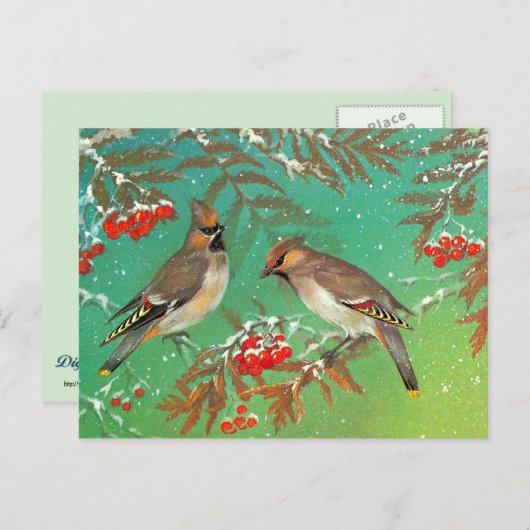 Carte Postale Oiseaux d'hiver (Devant / Derrière)