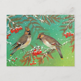 Carte Postale Oiseaux d'hiver