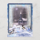 Carte Postale Oiseaux d'hiver (Devant)