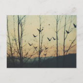 Carte Postale Oiseaux Double exposition (Devant)