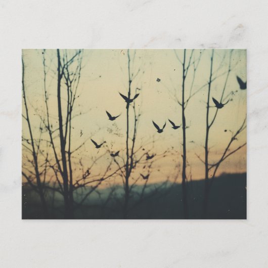 Carte Postale Oiseaux Double exposition (Devant)