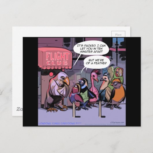 Carte Postale Oiseaux Drôle D'Une Plume (Devant / Derrière)