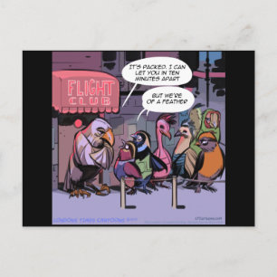 Carte Postale Oiseaux Drôle D'Une Plume