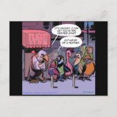 Carte Postale Oiseaux Drôle D'Une Plume (Devant)