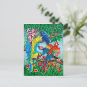 Carte Postale Oiseaux du paradis (Debout devant)