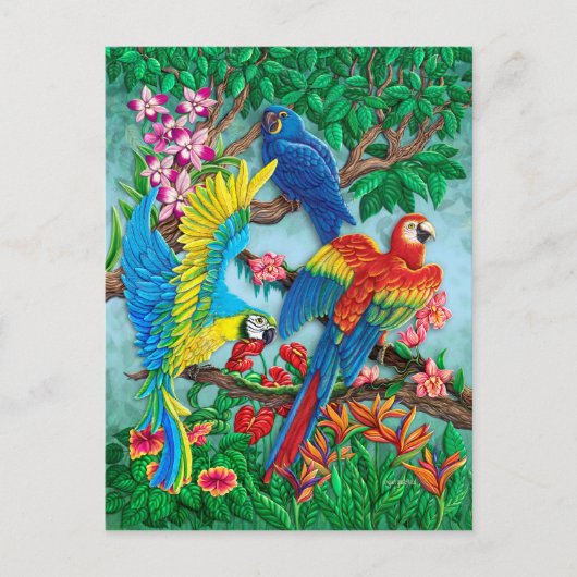 Carte Postale Oiseaux du paradis (Devant)