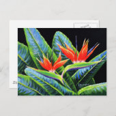 Carte Postale Oiseaux du paradis (Devant / Derrière)