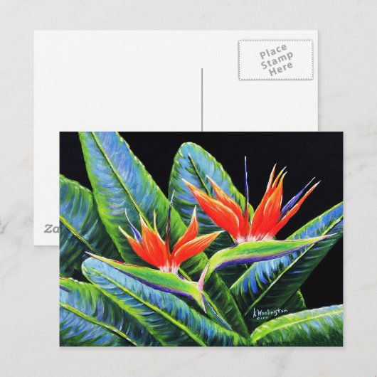 Carte Postale Oiseaux du paradis (Devant / Derrière)