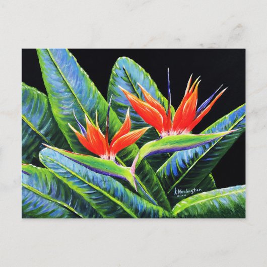 Carte Postale Oiseaux du paradis (Devant)