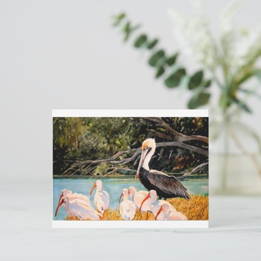 Carte Postale Oiseaux d'une plume (Debout devant)