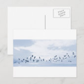 Carte Postale Oiseaux en vol (Devant / Derrière)