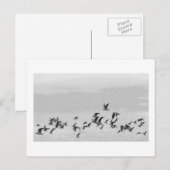 Carte postale Oiseaux en vol (Devant / Derrière)