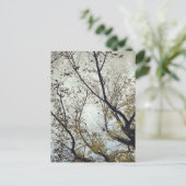 Carte Postale Oiseaux entre arbres (Debout devant)