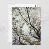 Carte Postale Oiseaux entre arbres (Devant / Derrière)