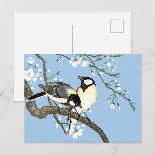 Carte Postale Oiseaux et fleurs de cerisiers Ohara Koson (Devant / Derrière)