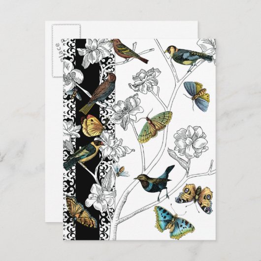 Carte Postale Oiseaux et papillon sur fond noir et blanc (Devant / Derrière)