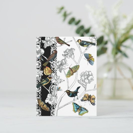 Carte Postale Oiseaux et papillon sur fond noir et blanc (Debout devant)