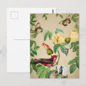 Carte Postale Oiseaux et papillons vintage (Devant / Derrière)