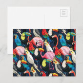 Carte Postale Oiseaux exotiques (Devant / Derrière)