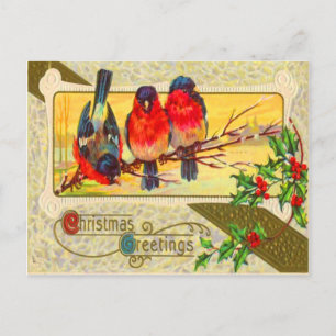 Carte Postale Oiseaux & Houx
