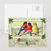 Carte Postale Oiseaux & Houx (Devant / Derrière)