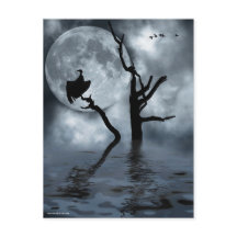 Oiseaux la nuit
