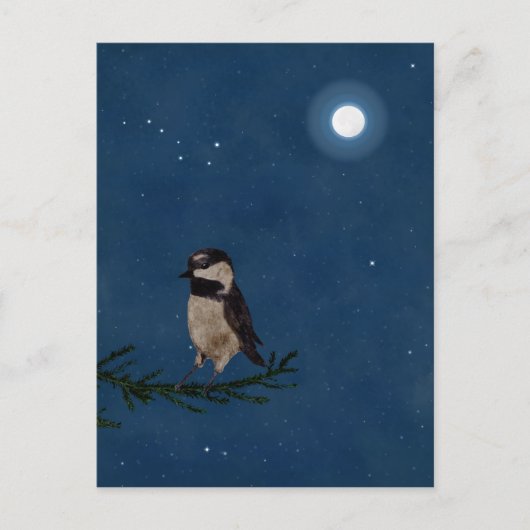 Carte Postale Oiseaux, la nuit avec lune, Big Dipper, Étoiles (Devant)