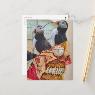 Carte Postale Oiseaux macareux sur le cerveau surréaliste en tec