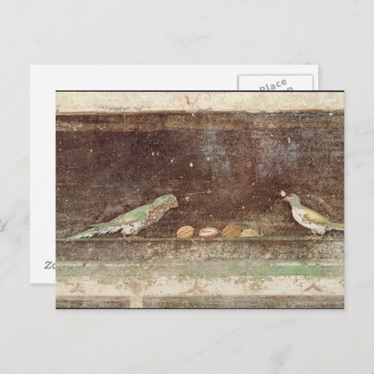 Carte Postale Oiseaux mangeant des noix (Devant / Derrière)