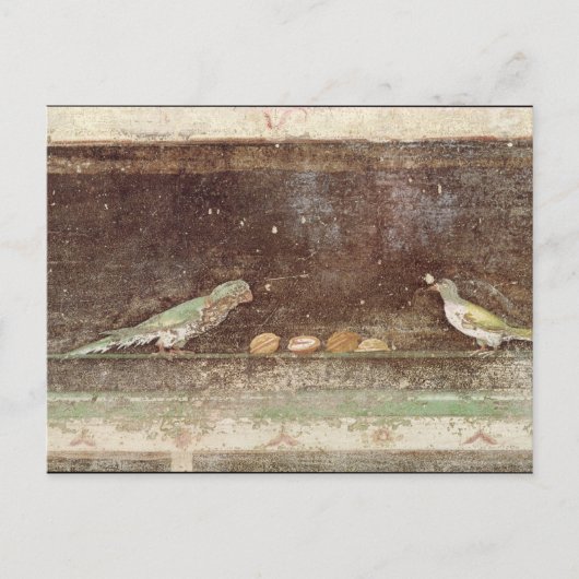 Carte Postale Oiseaux mangeant des noix (Devant)