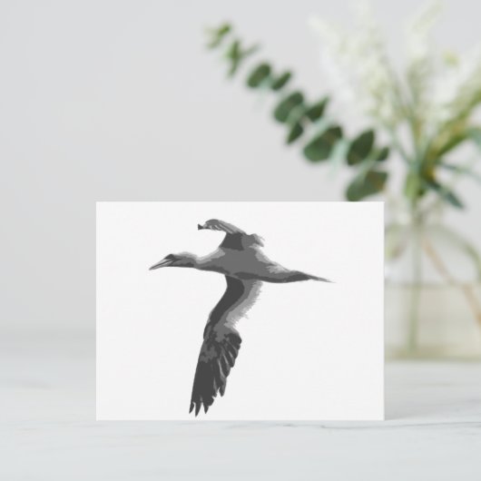 Carte Postale Oiseaux marins Abstraits (Debout devant)