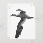 Carte Postale Oiseaux marins Abstraits (Devant / Derrière)