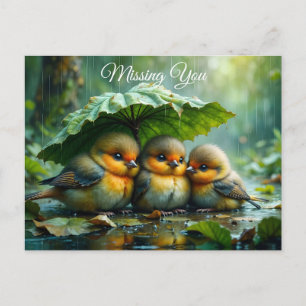 Carte Postale Oiseaux mignons et duveteux sous la pluie *Tu me m