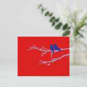 Carte Postale oiseaux moisis (Debout devant)