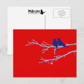 Carte Postale oiseaux moisis (Devant / Derrière)