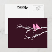 Carte Postale oiseaux moisis (Devant / Derrière)