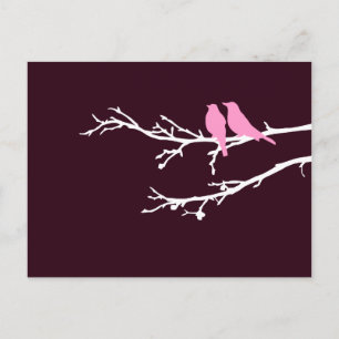 Carte Postale oiseaux moisis