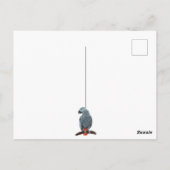 Carte Postale OISEAUX NERD, perroquets, hibou, pigeons, kookabur (Dos)