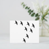 Carte Postale oiseaux noirs (Debout devant)